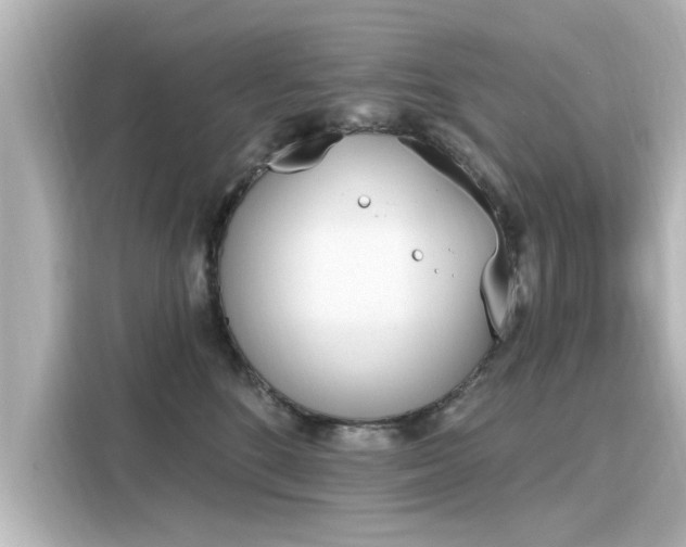 X0000116150520200911301543