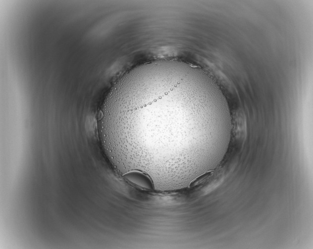 X0000116150523200911301543