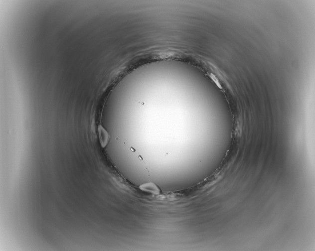 X0000116150524200911301543