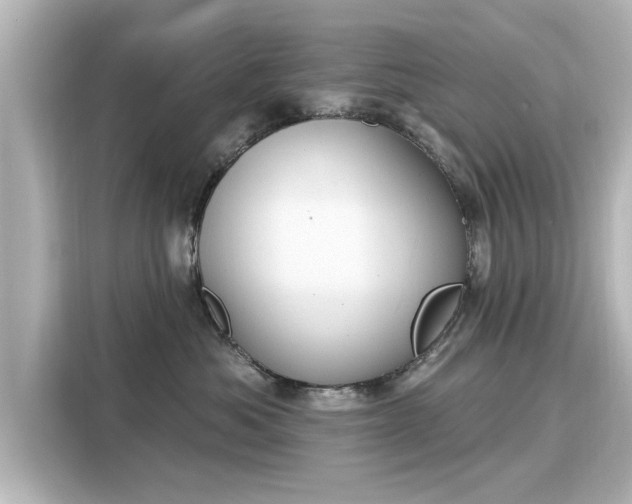 X0000116150525200911301543