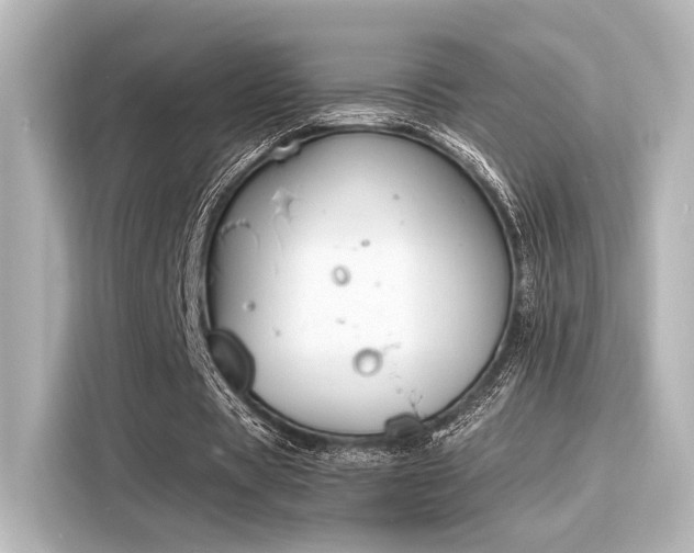 X0000116150529200911301542