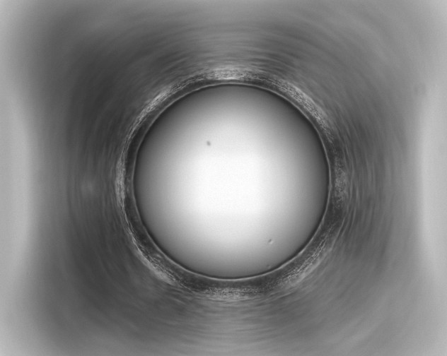 X0000116150530200911301542