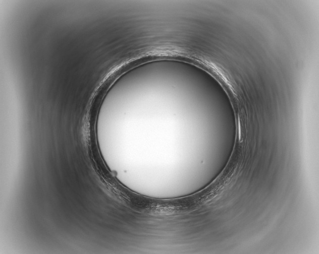 X0000116150531200911301542