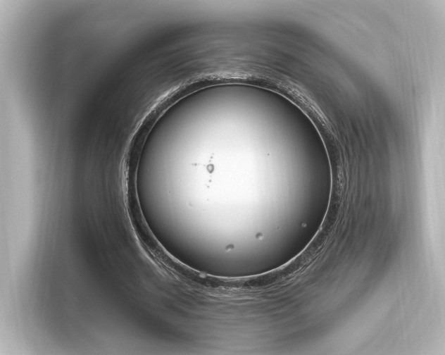 X0000116150534200911301542