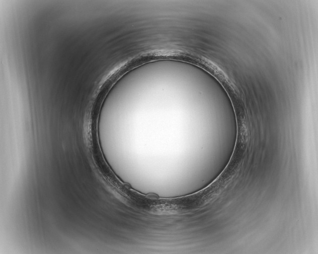 X0000116150535200911301542