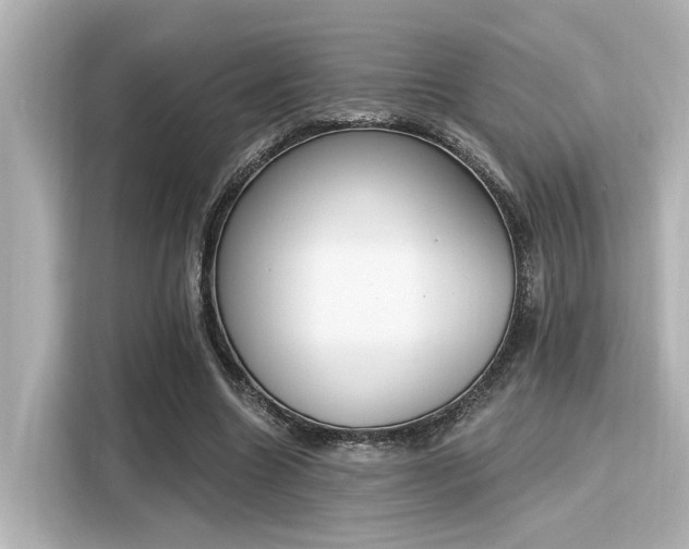 X0000116150538200911301543