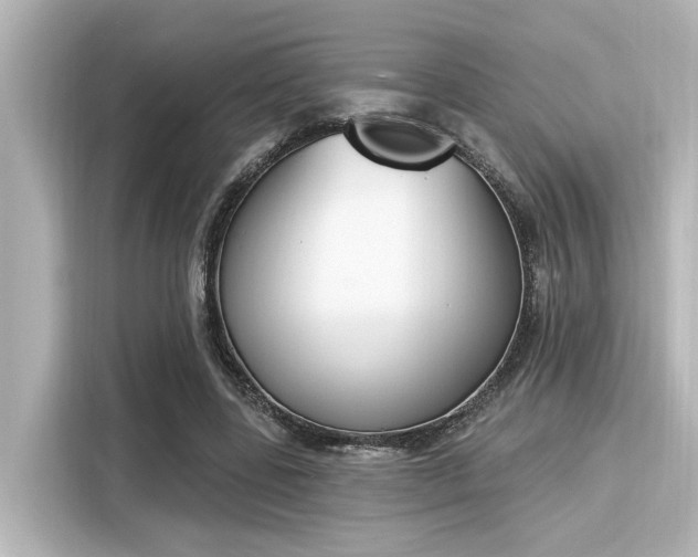 X0000116150539200911301543