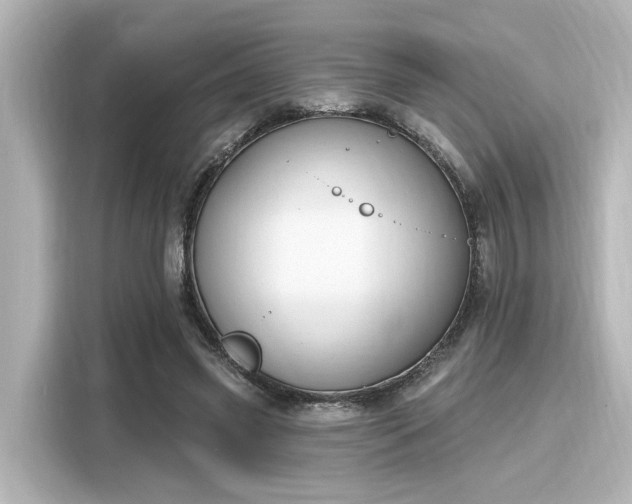 X0000116150541200911301543