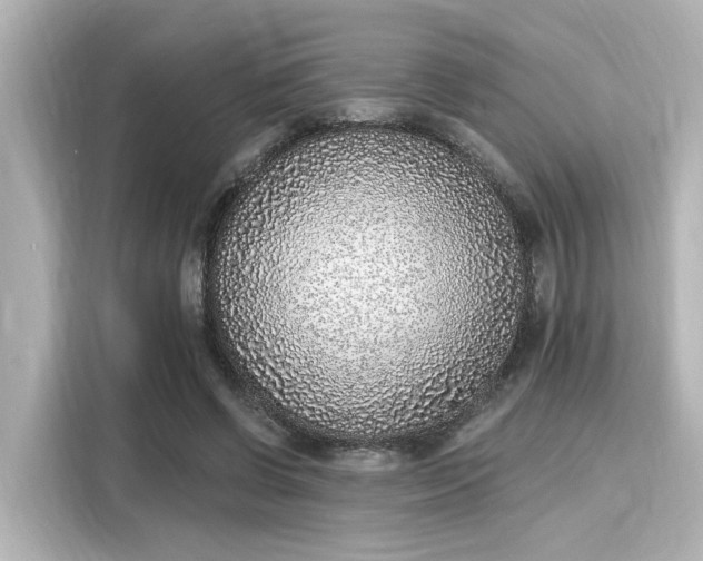 X0000116150542200911301543