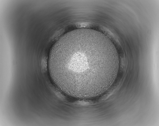 X0000116150545200911301543