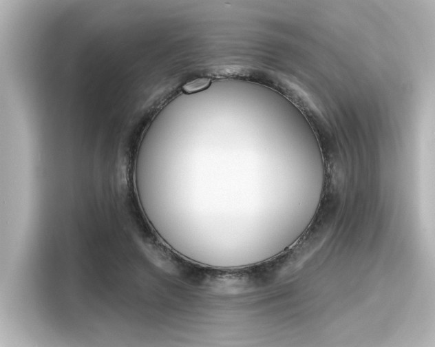 X0000116150546200911301543