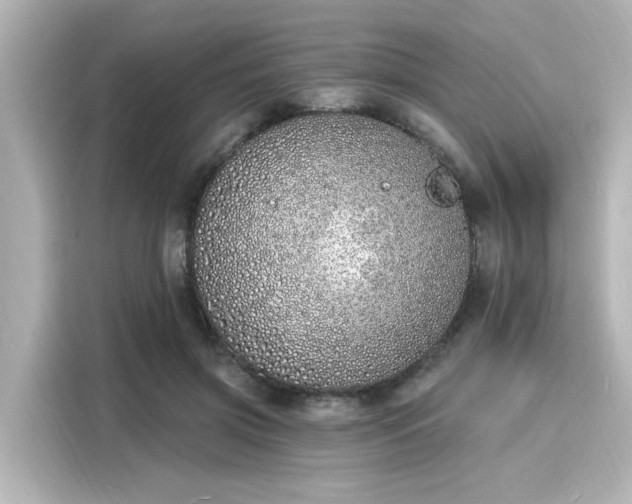 X0000116150549200911301543