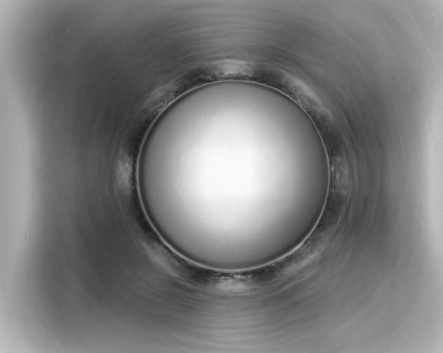 X0000116150550200911301543