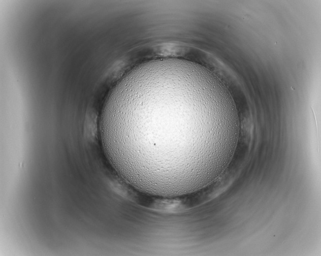 X0000116150554200911301543