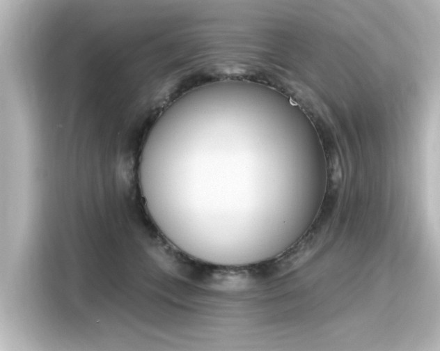 X0000116150559200911301543