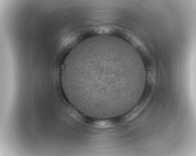 X0000116150561200911301543