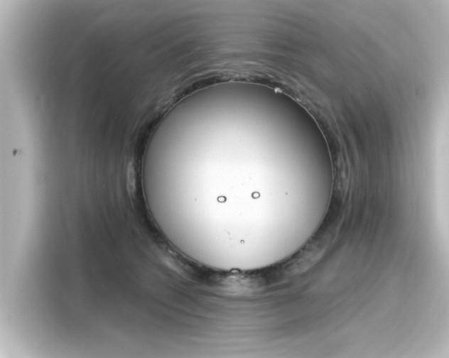 X0000116150562200911301543