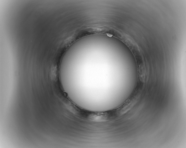 X0000116150563200911301543