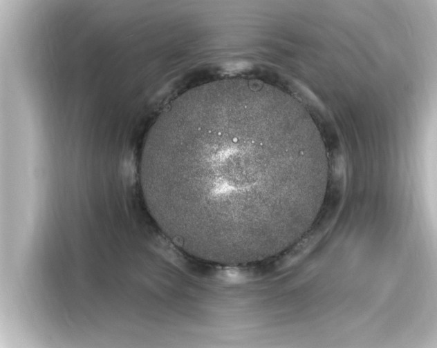 X0000116150565200911301543