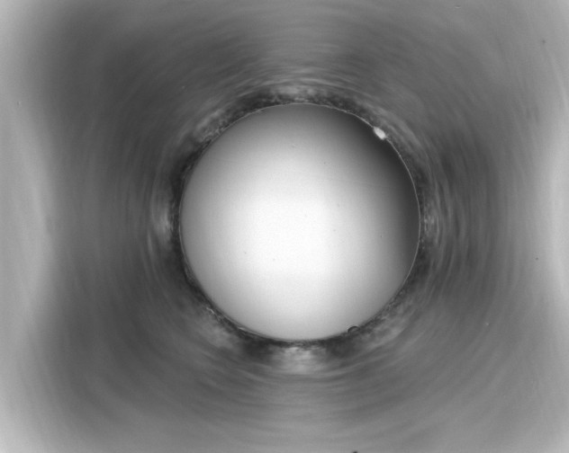 X0000116150566200911301543