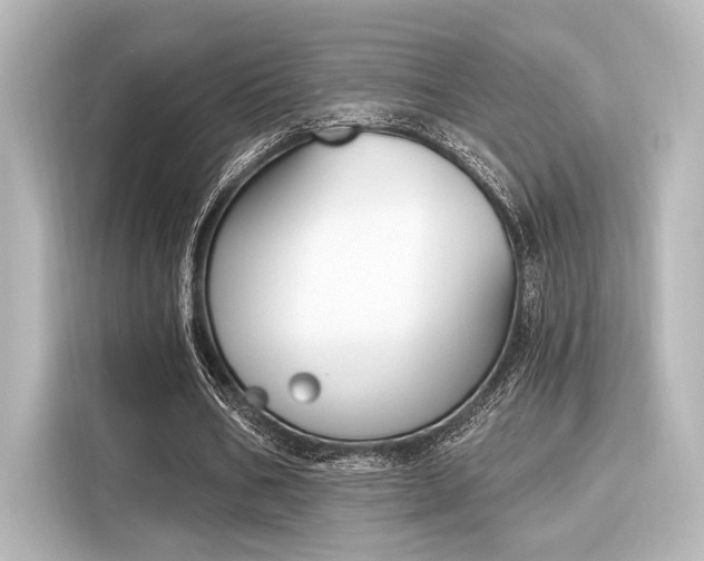 X0000116150578200911301542