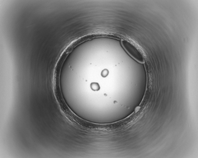 X0000116150580200911301542