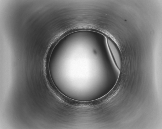 X0000116150581200911301542