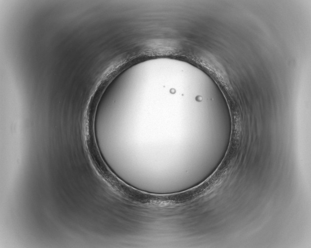 X0000116150582200911301542