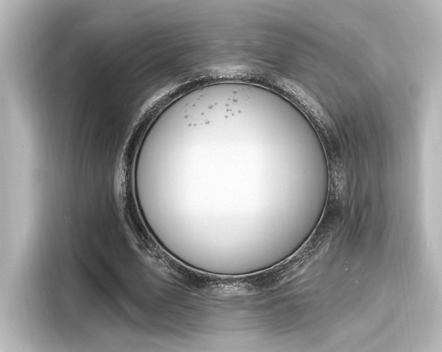 X0000116150583200911301542