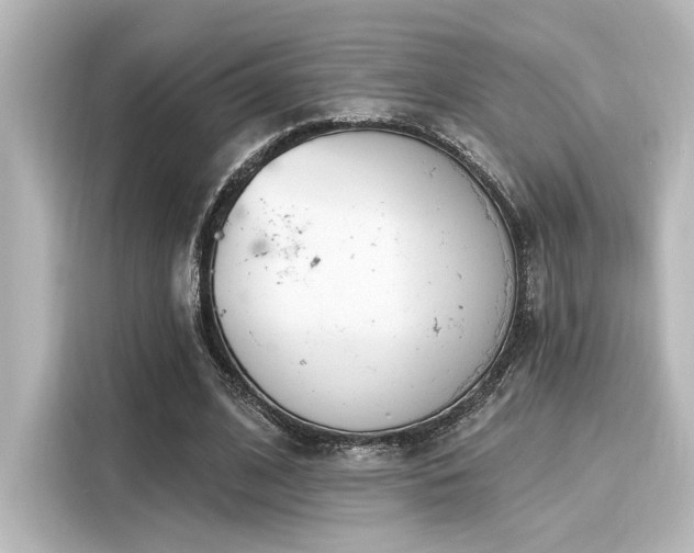 X0000116150584200911301542