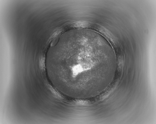 X0000116150585200911301542