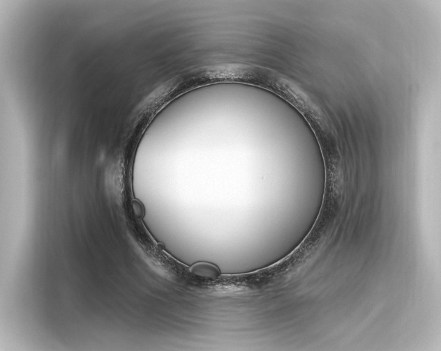 X0000116150586200911301542