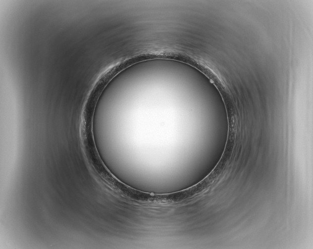 X0000116150587200911301542