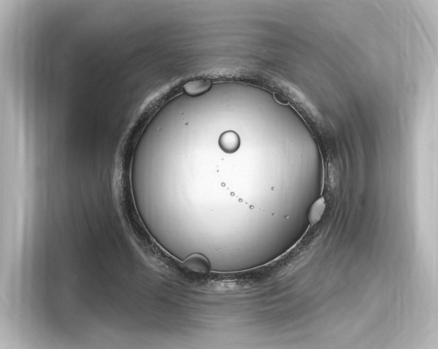 X0000116150588200911301542