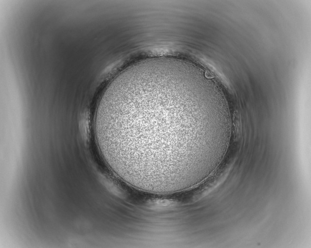 X0000116150590200911301542