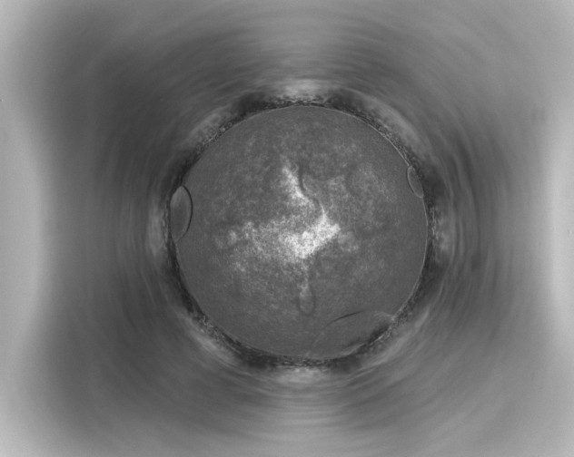 X0000116150593200911301542