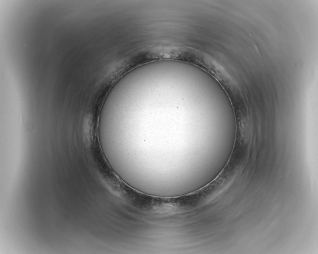 X0000116150594200911301542