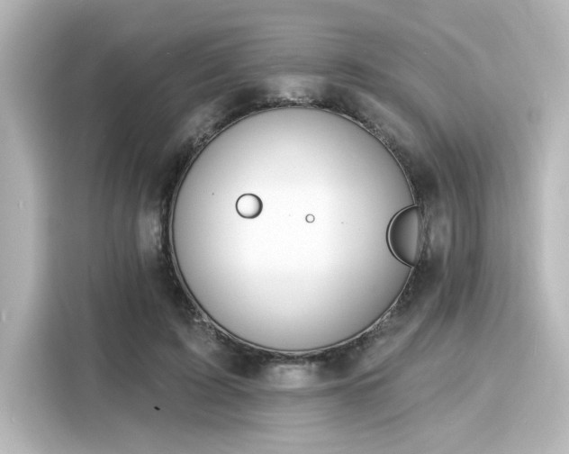 X0000116150595200911301542