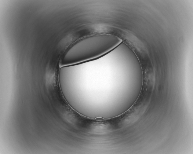 X0000116150597200911301542