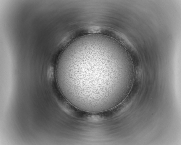 X0000116150598200911301542