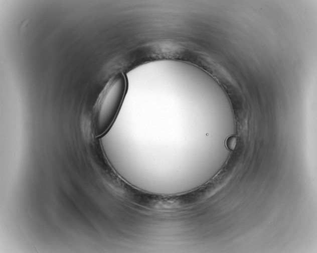 X0000116150599200911301542