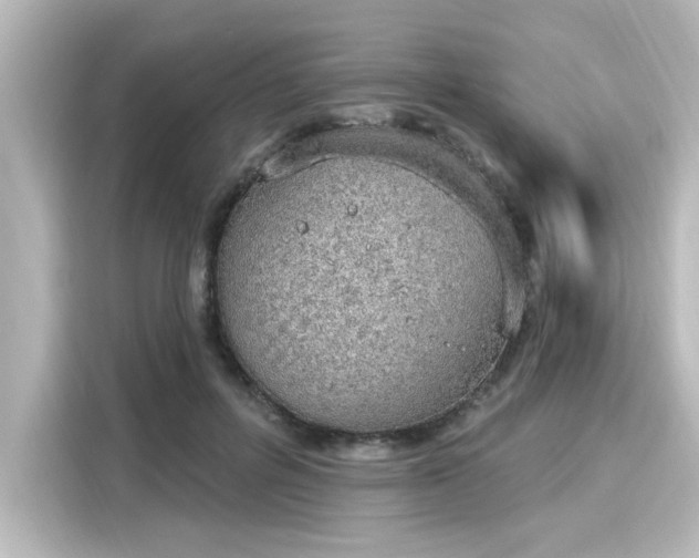 X0000116150600200911301542