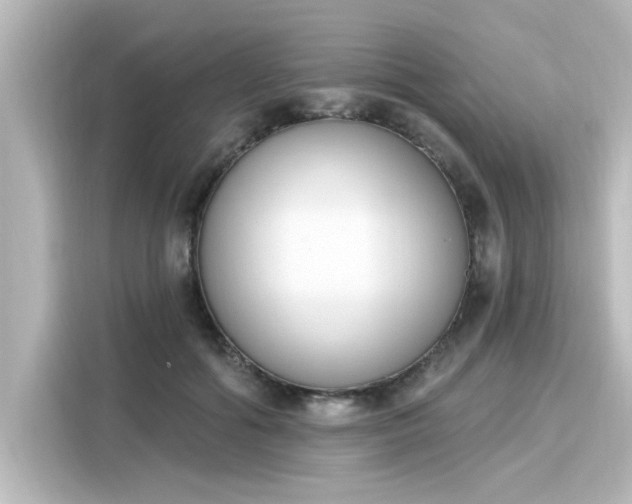 X0000116150602200911301542