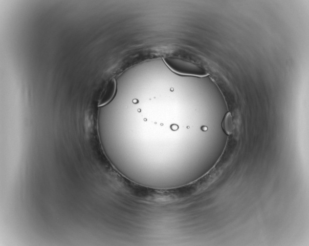 X0000116150608200911301542