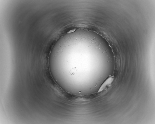 X0000116150609200911301542