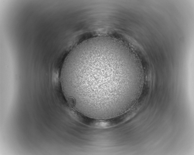 X0000116150610200911301542