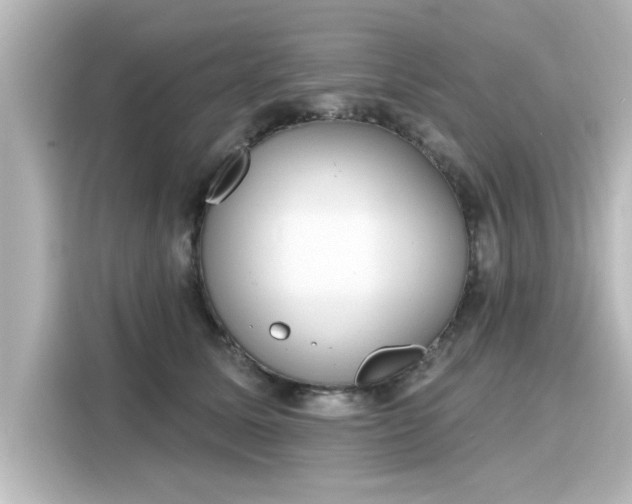 X0000116150611200911301542