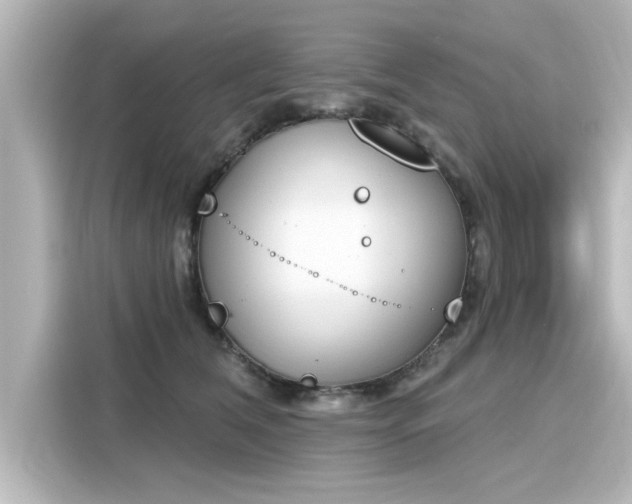 X0000116150612200911301542