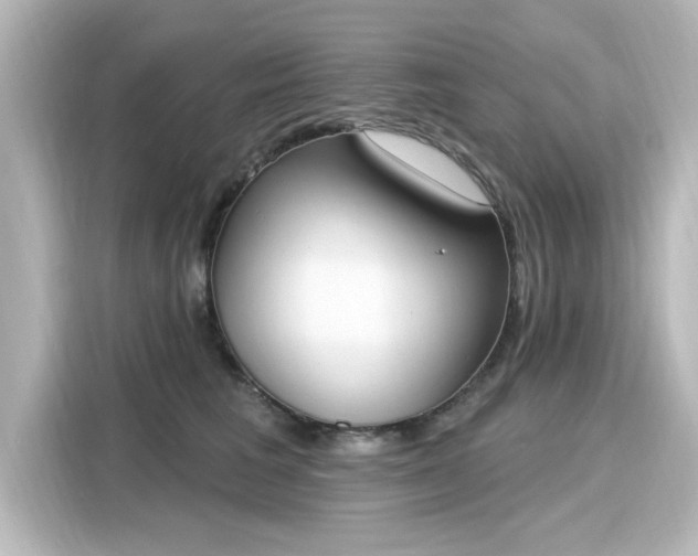 X0000116150613200911301542