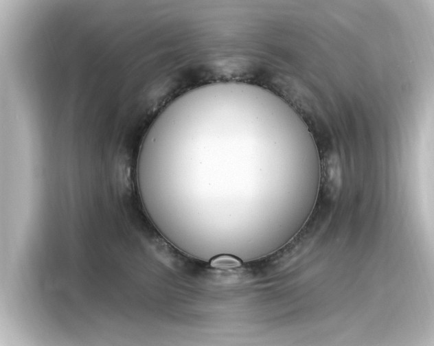 X0000116150615200911301542